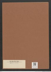 Diatomeae indet. Zeichnungen Sammlung Grunow Mappe 03343 (Herbarium_W_Grunow_drawings_Folder_03343)